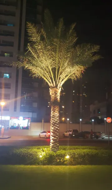 LED Palm Tree Ring Light