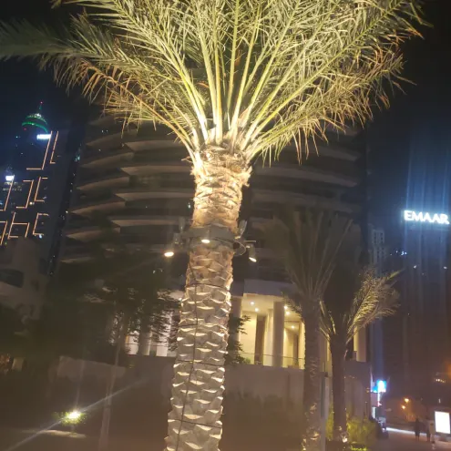 Palm Tree Ring Light