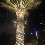 Choosing led ring light for palm trees