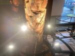 palm tree light-uae-newon