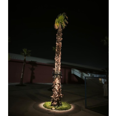 304 stainless steel palm tree ring light closeup customer dubai
