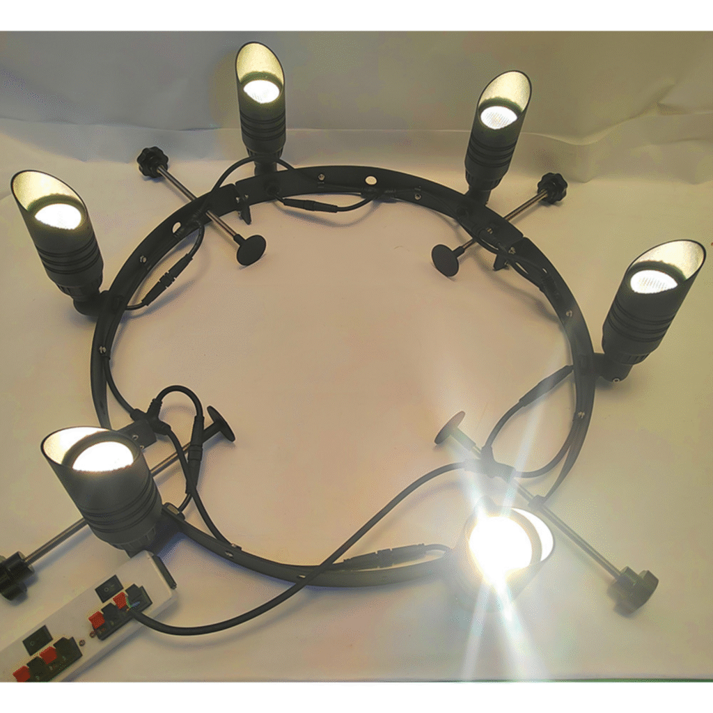 Plam Tree ring Light