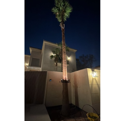 homefront palm tree lighting palm jumeirah dubai customer
