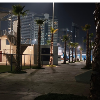 resort palm avenue ring lights abu dhabi uae customer