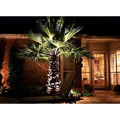 villafront palm tree ring light 3000k glow uae customer.jpg