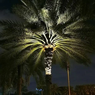 walkway palm tree ring light 3000k glow uae customer