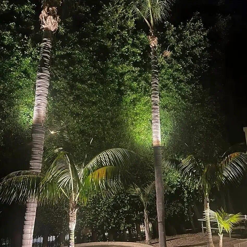 Architectural Lighting in the UAE: How Modern LED Technology Shapes Aesthetic Indoor & Outdoor Spaces 1 palm tree ring light 17