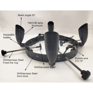Palm Tree Ring Lights in Dubai & UAE – Ultimate Guide by Newon.ae 5 PalmTreeRingLight 400mm Infographic COBLED