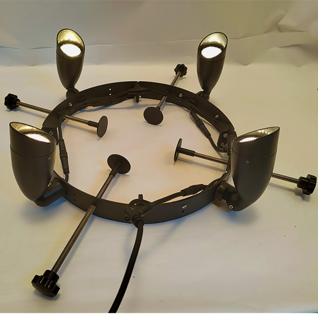 palm tree ring light illuminating ip66 3000k