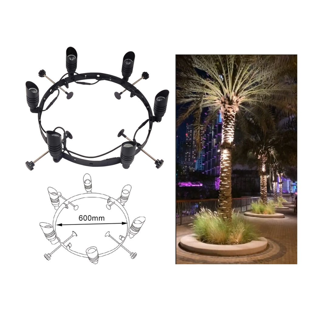 Palm Tree Ring Lights in Dubai & UAE – Ultimate Guide by Newon.ae 10 PalmTreeRingLight 600mm Infographic COBLED 304SS 1