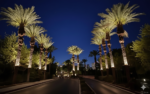 palm tree garden light in dubai