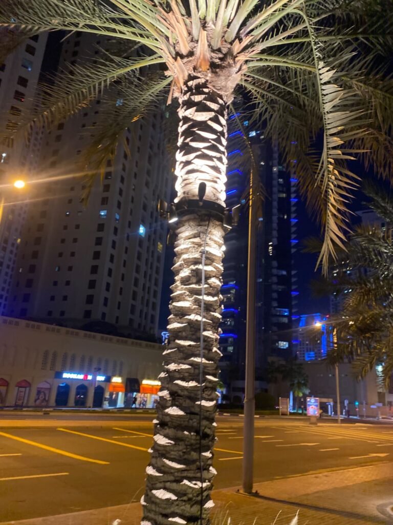 palm tree ring lightign project uae, dubai- newon